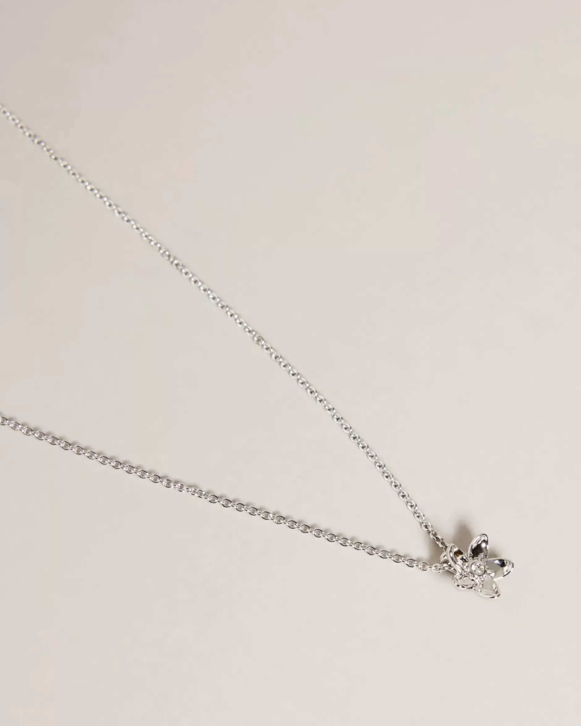 New Braddie Women Jewellery
