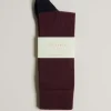 Sale Corecol Men Socks